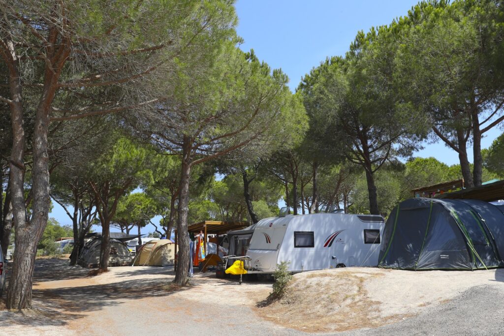 Zone proche mer avec emplacements de camping sous les pins