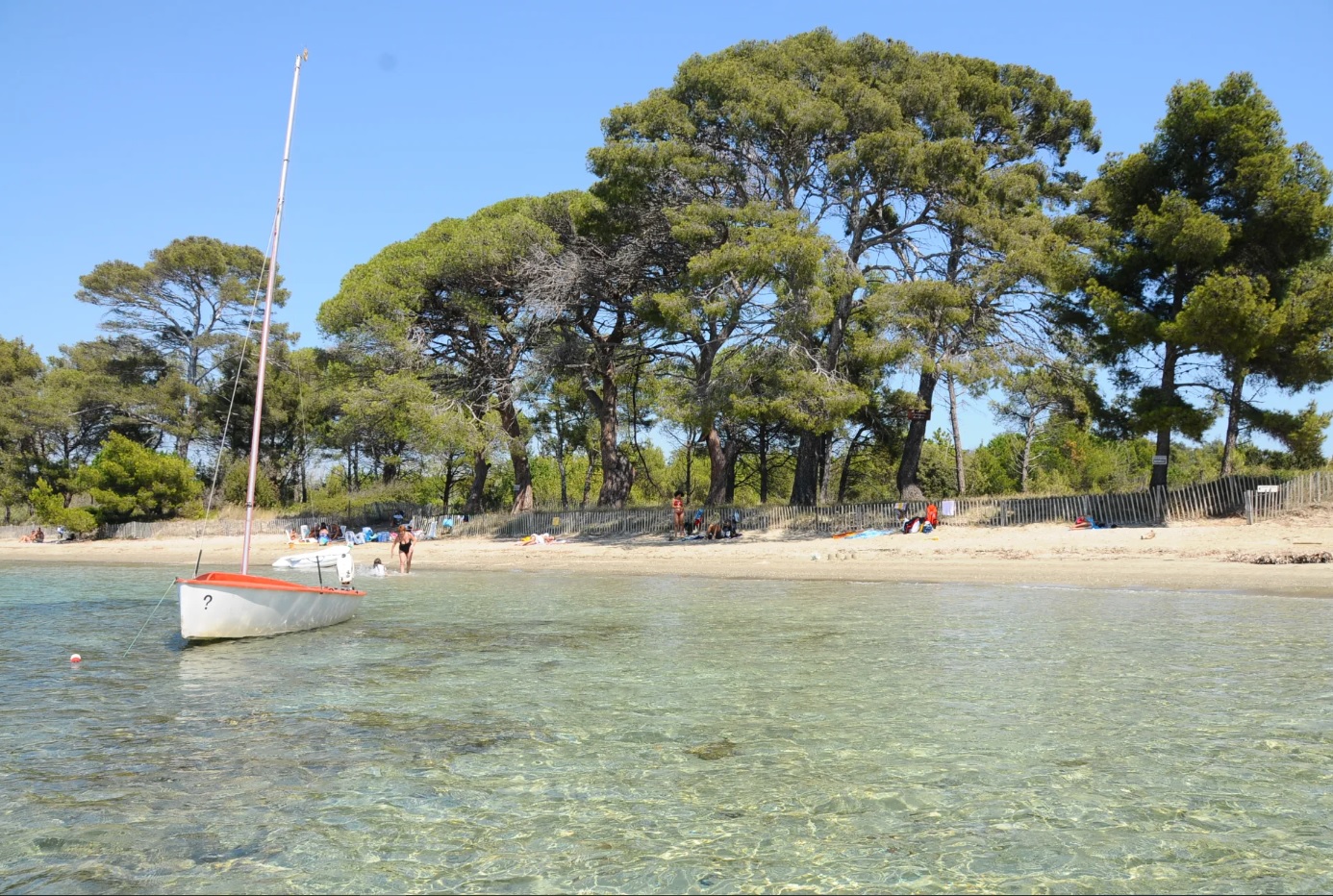 Plage du Pellegrin i Sydfrankrig (Provence): naturstrand ved Middelhavet