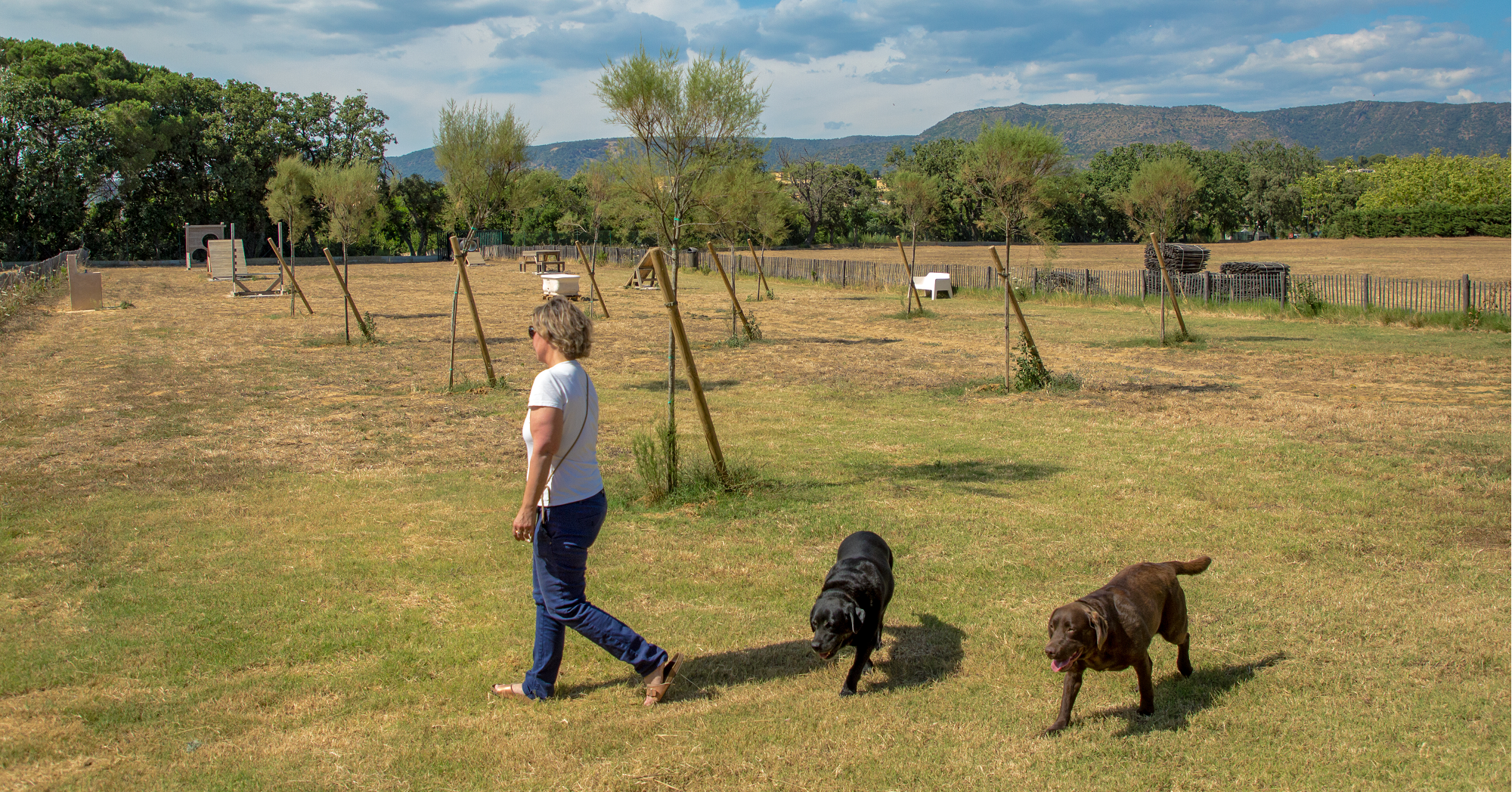 Vacances avec son chien au Camp du Domaine