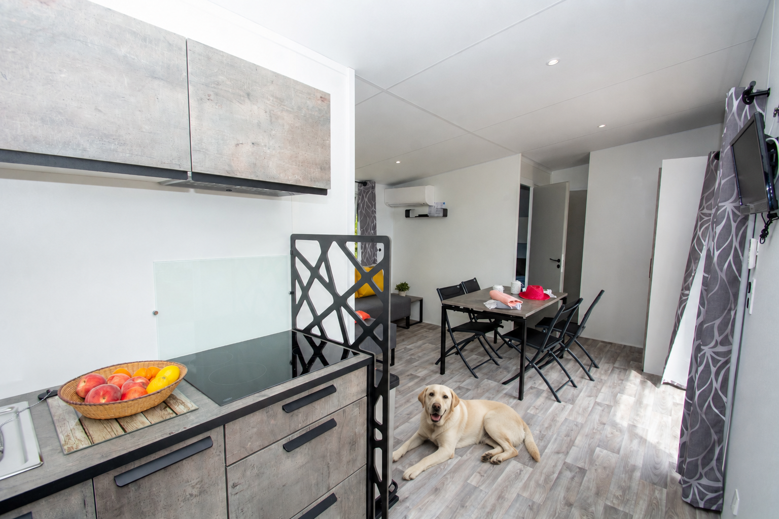 Chien sur la terrasse d’un mobil-home au Camp du Domaine